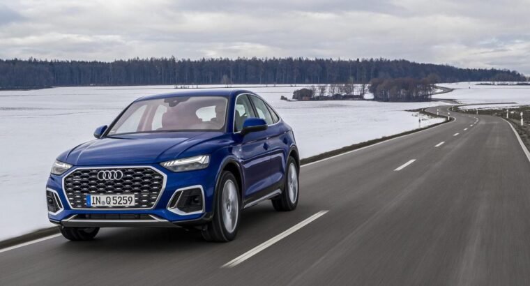 Breeder Ragdolls White cat