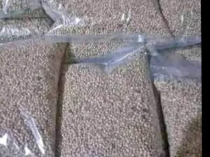 Le poivre blanc de penja